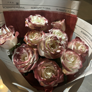 十八禁裸舞网站
